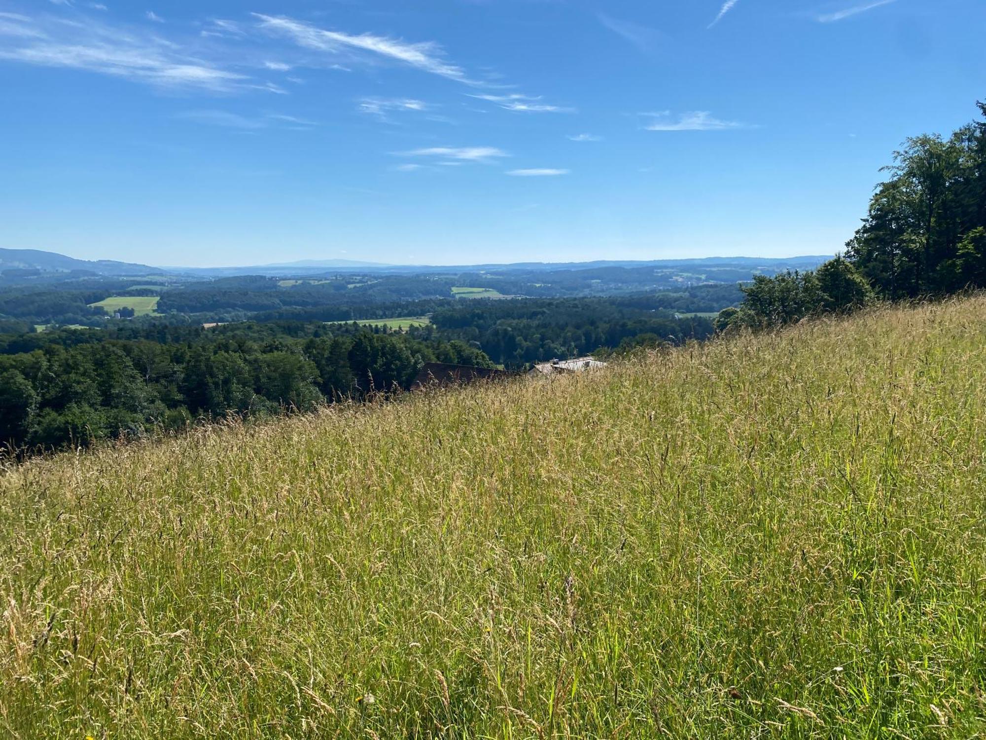 Wohnen Zwischen Golf Und Therme Bad Waltersdorf Exteriér fotografie
